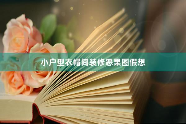 小户型衣帽间装修恶果图假想